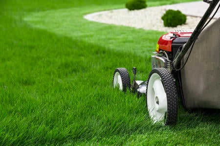 Lawn Mowing Thumbnail